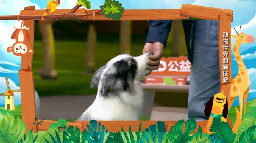 今晚《哈喽伙计》休闲区蓝鸢梦想 - Www.slyday.coM 今晚《哈喽伙计》休闲区蓝鸢梦想 - Www.slyday.coM