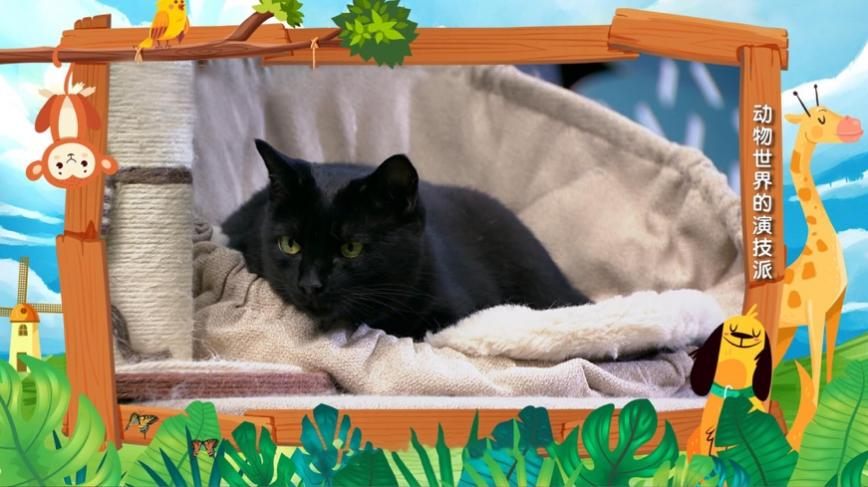 今晚《哈喽伙计》休闲区蓝鸢梦想 - Www.slyday.coM 今晚《哈喽伙计》休闲区蓝鸢梦想 - Www.slyday.coM