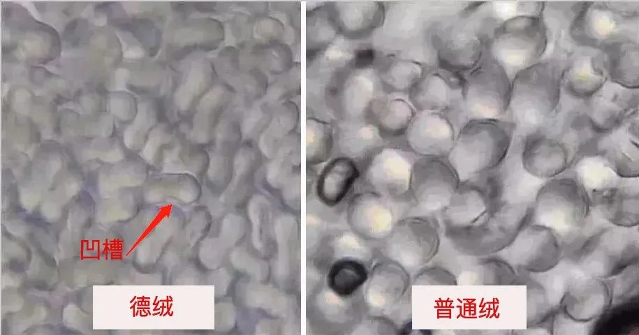 69元买一送一!“自发热”儿童内衣套装,保暖、亲肤、吸湿~让娃轻松过冬!休闲区蓝鸢梦想 - Www.slyday.coM 69元买一送一!“自发热”儿童内衣套装,保暖、亲肤、吸湿~让娃轻松过冬!休闲区蓝鸢梦想 - Www.slyday.coM