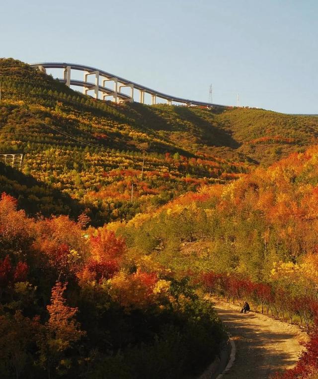 秋意正浓,来一场与秋天的约会吧休闲区蓝鸢梦想 - Www.slyday.coM 秋意正浓,来一场与秋天的约会吧休闲区蓝鸢梦想 - Www.slyday.coM