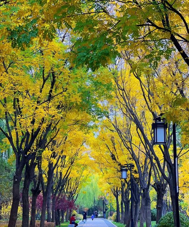 秋意正浓,来一场与秋天的约会吧休闲区蓝鸢梦想 - Www.slyday.coM 秋意正浓,来一场与秋天的约会吧休闲区蓝鸢梦想 - Www.slyday.coM