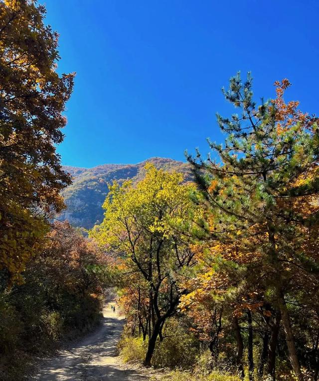 秋意正浓,来一场与秋天的约会吧休闲区蓝鸢梦想 - Www.slyday.coM 秋意正浓,来一场与秋天的约会吧休闲区蓝鸢梦想 - Www.slyday.coM