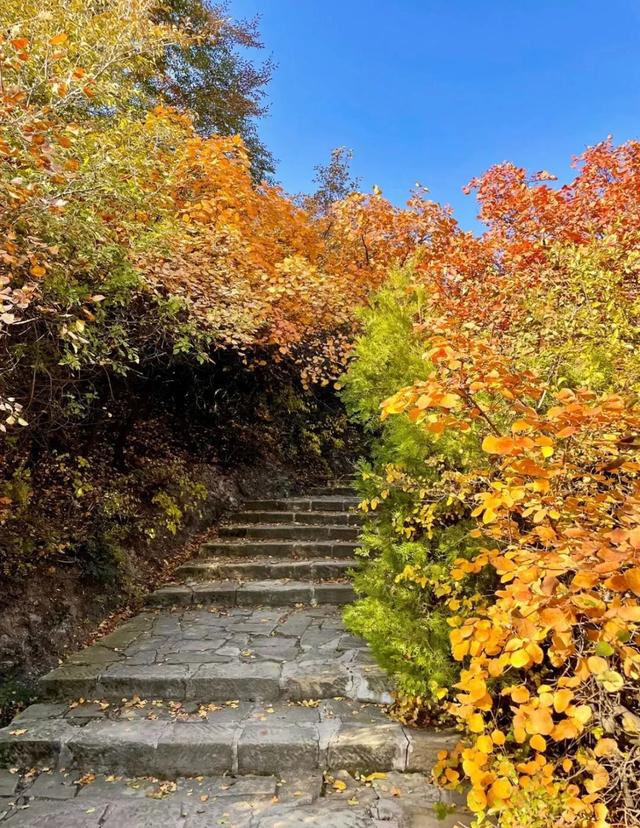 秋意正浓,来一场与秋天的约会吧休闲区蓝鸢梦想 - Www.slyday.coM 秋意正浓,来一场与秋天的约会吧休闲区蓝鸢梦想 - Www.slyday.coM