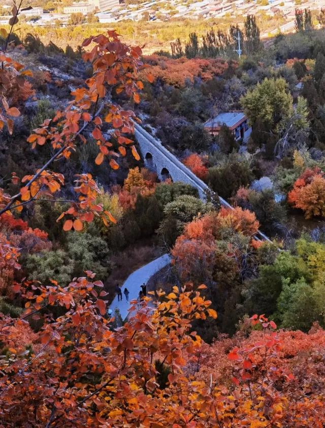 秋意正浓,来一场与秋天的约会吧休闲区蓝鸢梦想 - Www.slyday.coM 秋意正浓,来一场与秋天的约会吧休闲区蓝鸢梦想 - Www.slyday.coM