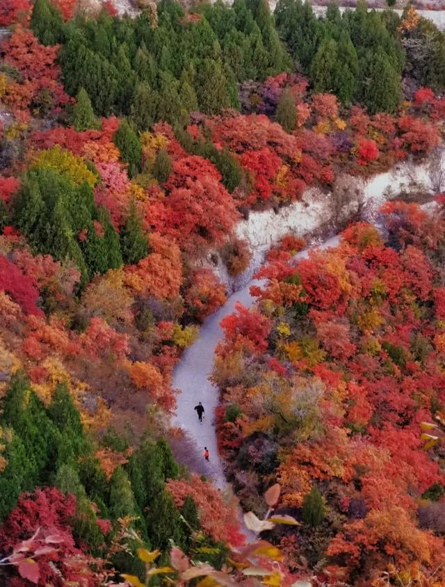 秋意正浓,来一场与秋天的约会吧休闲区蓝鸢梦想 - Www.slyday.coM 秋意正浓,来一场与秋天的约会吧休闲区蓝鸢梦想 - Www.slyday.coM