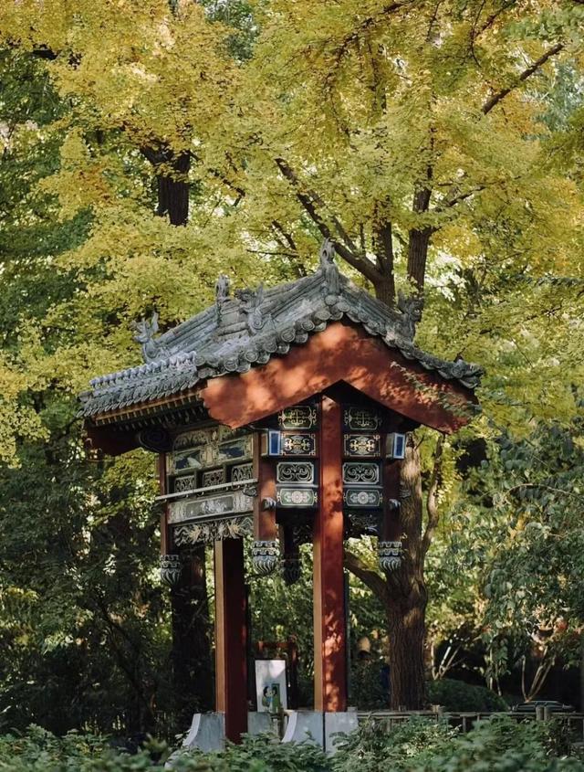 秋意正浓,来一场与秋天的约会吧休闲区蓝鸢梦想 - Www.slyday.coM 秋意正浓,来一场与秋天的约会吧休闲区蓝鸢梦想 - Www.slyday.coM