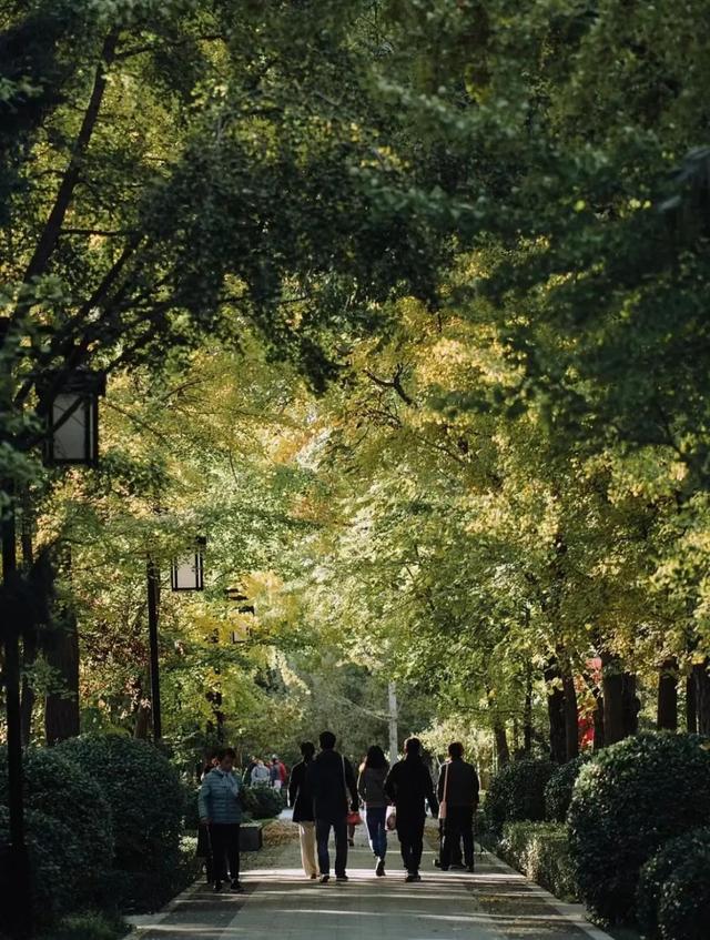 秋意正浓,来一场与秋天的约会吧休闲区蓝鸢梦想 - Www.slyday.coM 秋意正浓,来一场与秋天的约会吧休闲区蓝鸢梦想 - Www.slyday.coM