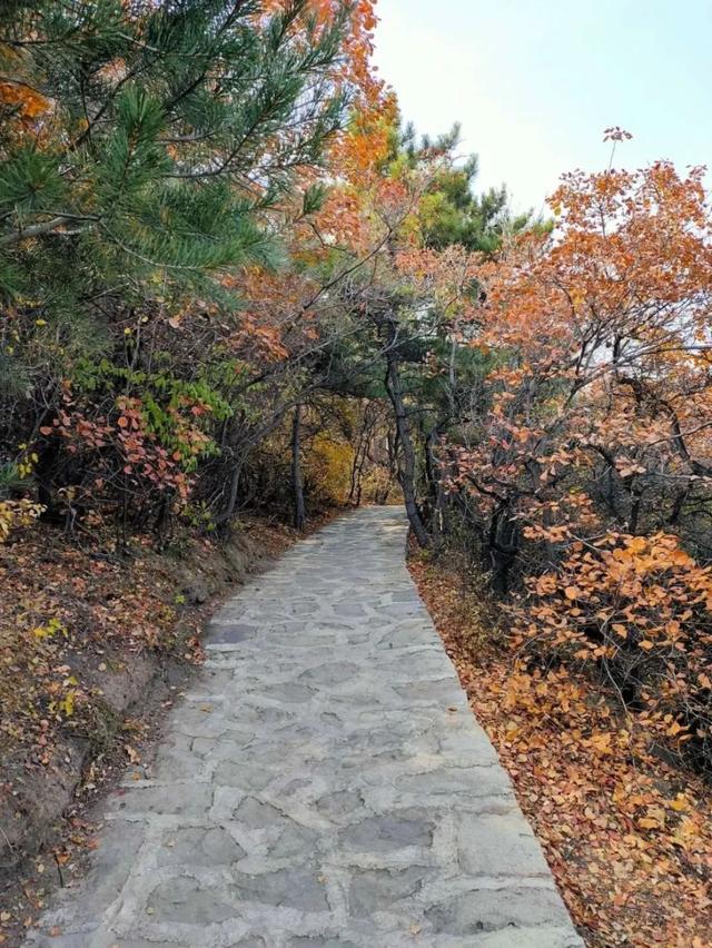 秋意正浓,来一场与秋天的约会吧休闲区蓝鸢梦想 - Www.slyday.coM 秋意正浓,来一场与秋天的约会吧休闲区蓝鸢梦想 - Www.slyday.coM