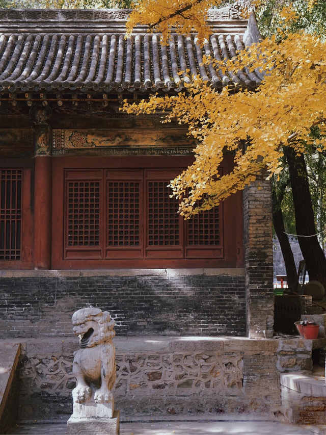 秋意正浓,来一场与秋天的约会吧休闲区蓝鸢梦想 - Www.slyday.coM 秋意正浓,来一场与秋天的约会吧休闲区蓝鸢梦想 - Www.slyday.coM