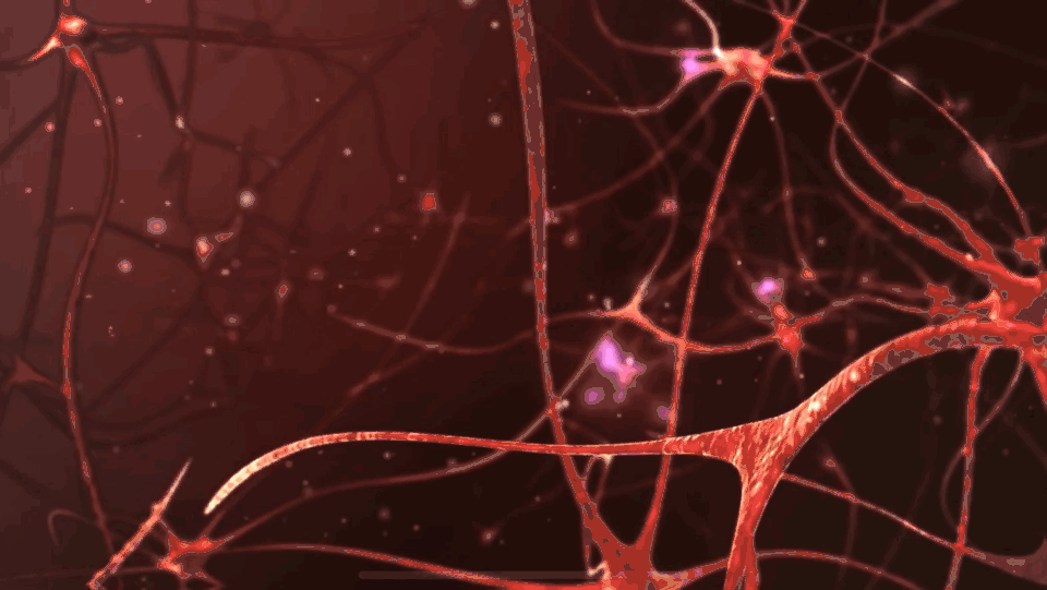 没有一种“社死”会比得上因蹲坑太久而猝死休闲区蓝鸢梦想 - Www.slyday.coM 没有一种“社死”会比得上因蹲坑太久而猝死休闲区蓝鸢梦想 - Www.slyday.coM