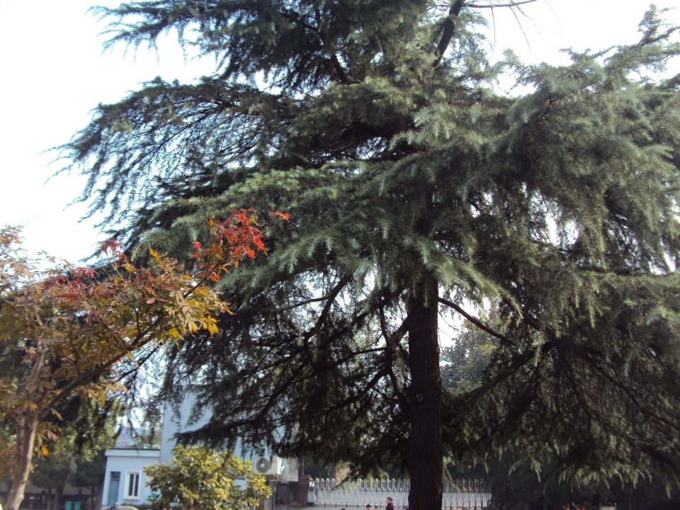 【往事】35年,萧山这所学校搬迁,这里有你的记忆吗?“同桌的你”在哪里休闲区蓝鸢梦想 - Www.slyday.coM 【往事】35年,萧山这所学校搬迁,这里有你的记忆吗?“同桌的你”在哪里休闲区蓝鸢梦想 - Www.slyday.coM