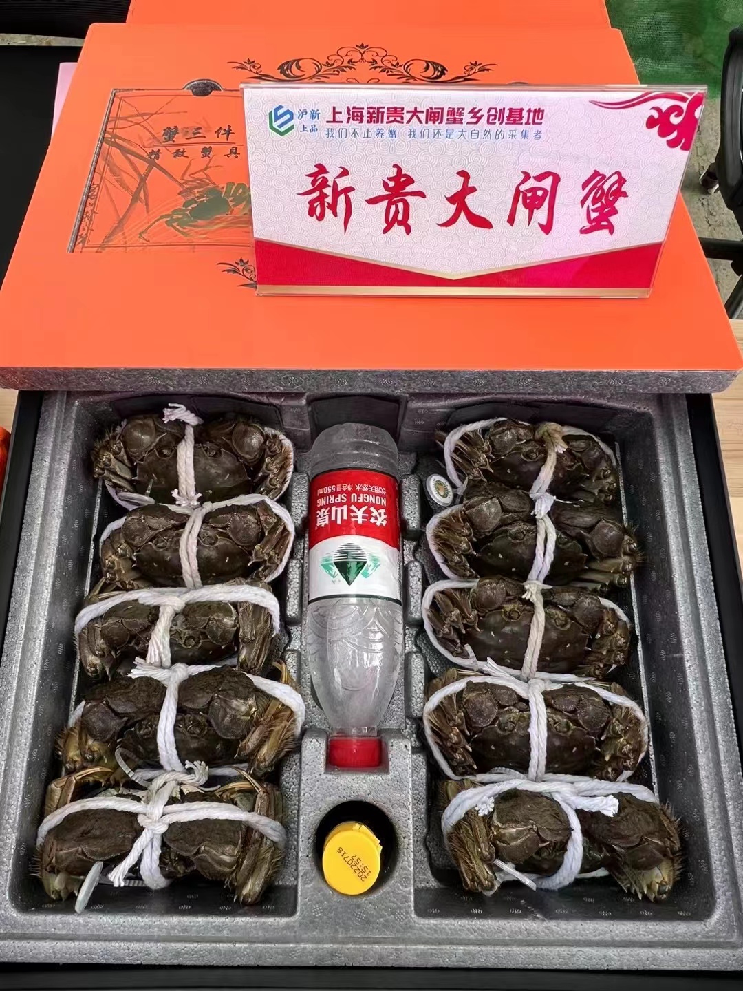 上海大闸蟹有了新品牌,金山吕巷新贵大闸蟹第一届开捕节开捕休闲区蓝鸢梦想 - Www.slyday.coM 上海大闸蟹有了新品牌,金山吕巷新贵大闸蟹第一届开捕节开捕休闲区蓝鸢梦想 - Www.slyday.coM