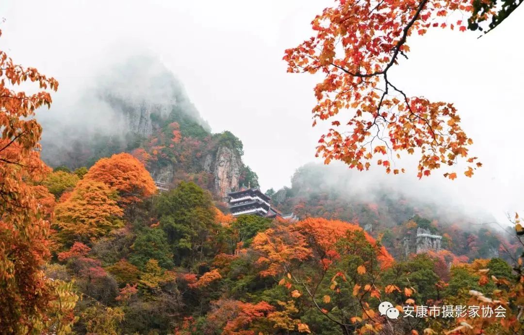 摄影大咖镜头下的岚皋,是什么样子?【959推荐】休闲区蓝鸢梦想 - Www.slyday.coM 摄影大咖镜头下的岚皋,是什么样子?【959推荐】休闲区蓝鸢梦想 - Www.slyday.coM