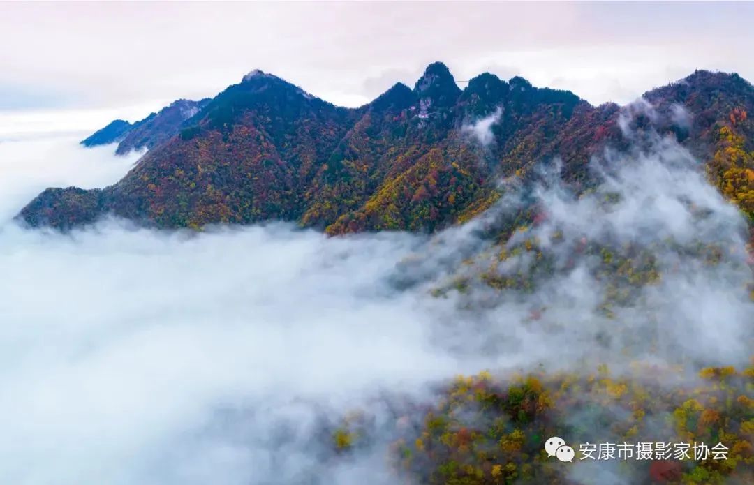 摄影大咖镜头下的岚皋,是什么样子?【959推荐】休闲区蓝鸢梦想 - Www.slyday.coM 摄影大咖镜头下的岚皋,是什么样子?【959推荐】休闲区蓝鸢梦想 - Www.slyday.coM