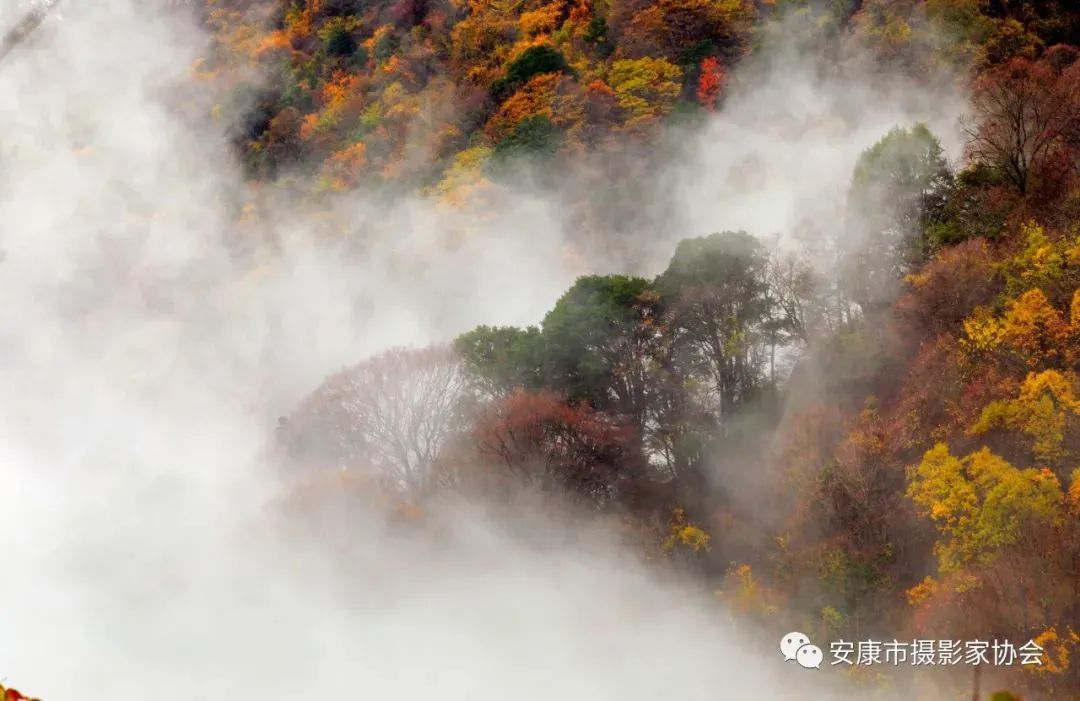 摄影大咖镜头下的岚皋,是什么样子?【959推荐】休闲区蓝鸢梦想 - Www.slyday.coM 摄影大咖镜头下的岚皋,是什么样子?【959推荐】休闲区蓝鸢梦想 - Www.slyday.coM