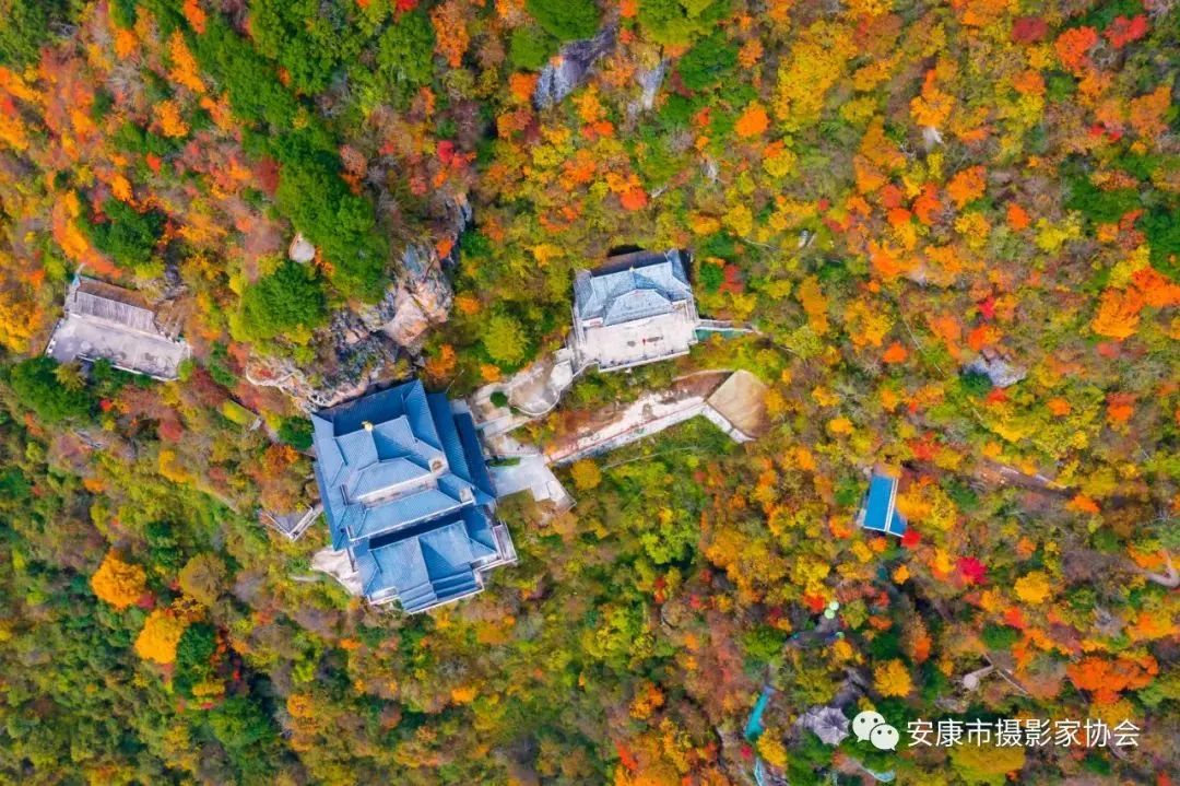 摄影大咖镜头下的岚皋,是什么样子?【959推荐】休闲区蓝鸢梦想 - Www.slyday.coM 摄影大咖镜头下的岚皋,是什么样子?【959推荐】休闲区蓝鸢梦想 - Www.slyday.coM