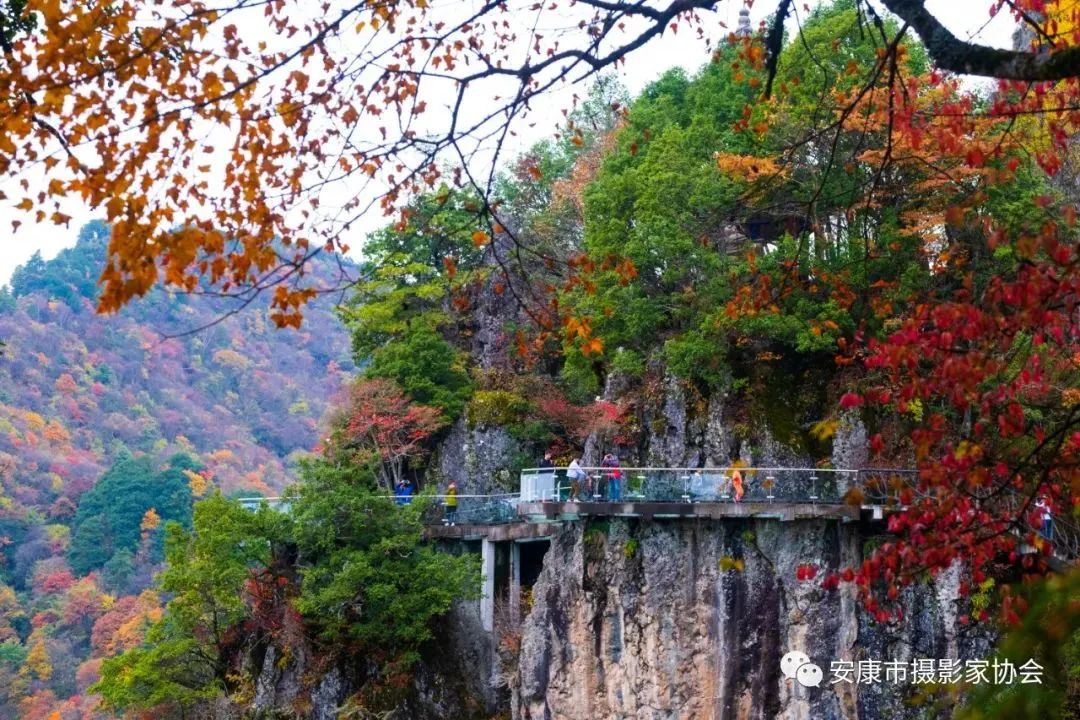 摄影大咖镜头下的岚皋,是什么样子?【959推荐】休闲区蓝鸢梦想 - Www.slyday.coM 摄影大咖镜头下的岚皋,是什么样子?【959推荐】休闲区蓝鸢梦想 - Www.slyday.coM