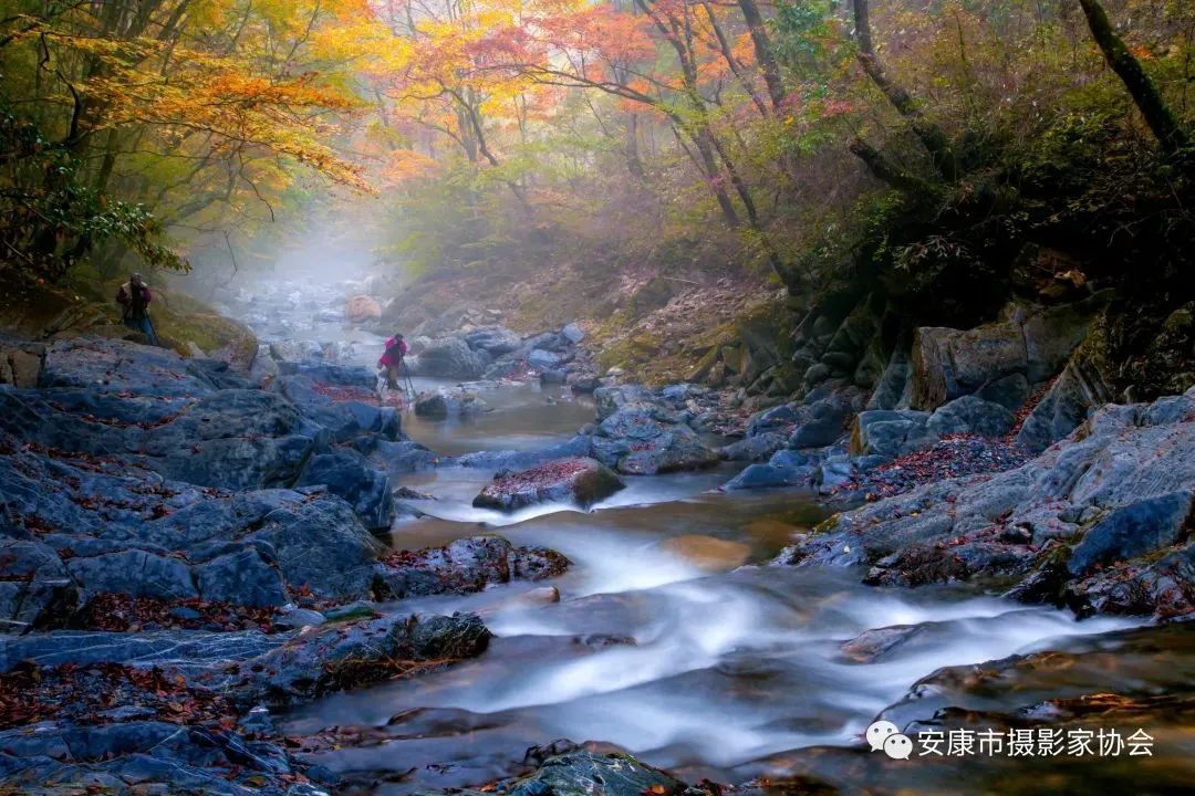 摄影大咖镜头下的岚皋,是什么样子?【959推荐】休闲区蓝鸢梦想 - Www.slyday.coM 摄影大咖镜头下的岚皋,是什么样子?【959推荐】休闲区蓝鸢梦想 - Www.slyday.coM