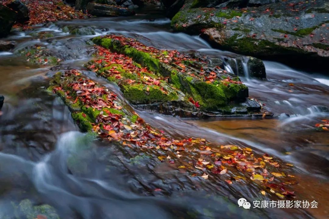 摄影大咖镜头下的岚皋,是什么样子?【959推荐】休闲区蓝鸢梦想 - Www.slyday.coM 摄影大咖镜头下的岚皋,是什么样子?【959推荐】休闲区蓝鸢梦想 - Www.slyday.coM