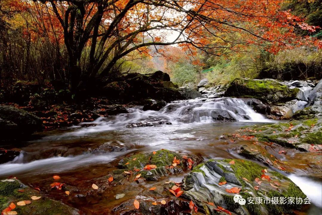 摄影大咖镜头下的岚皋,是什么样子?【959推荐】休闲区蓝鸢梦想 - Www.slyday.coM 摄影大咖镜头下的岚皋,是什么样子?【959推荐】休闲区蓝鸢梦想 - Www.slyday.coM