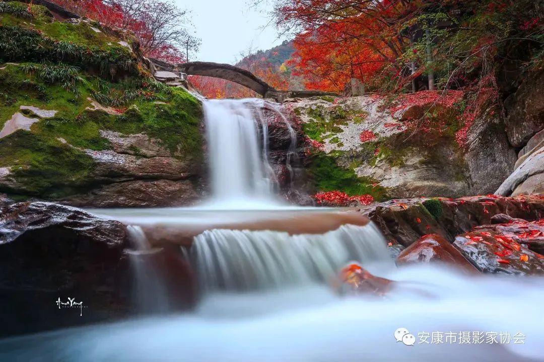 摄影大咖镜头下的岚皋,是什么样子?【959推荐】休闲区蓝鸢梦想 - Www.slyday.coM 摄影大咖镜头下的岚皋,是什么样子?【959推荐】休闲区蓝鸢梦想 - Www.slyday.coM