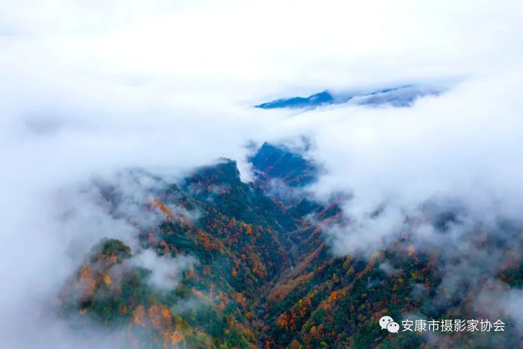 摄影大咖镜头下的岚皋,是什么样子?【959推荐】休闲区蓝鸢梦想 - Www.slyday.coM 摄影大咖镜头下的岚皋,是什么样子?【959推荐】休闲区蓝鸢梦想 - Www.slyday.coM