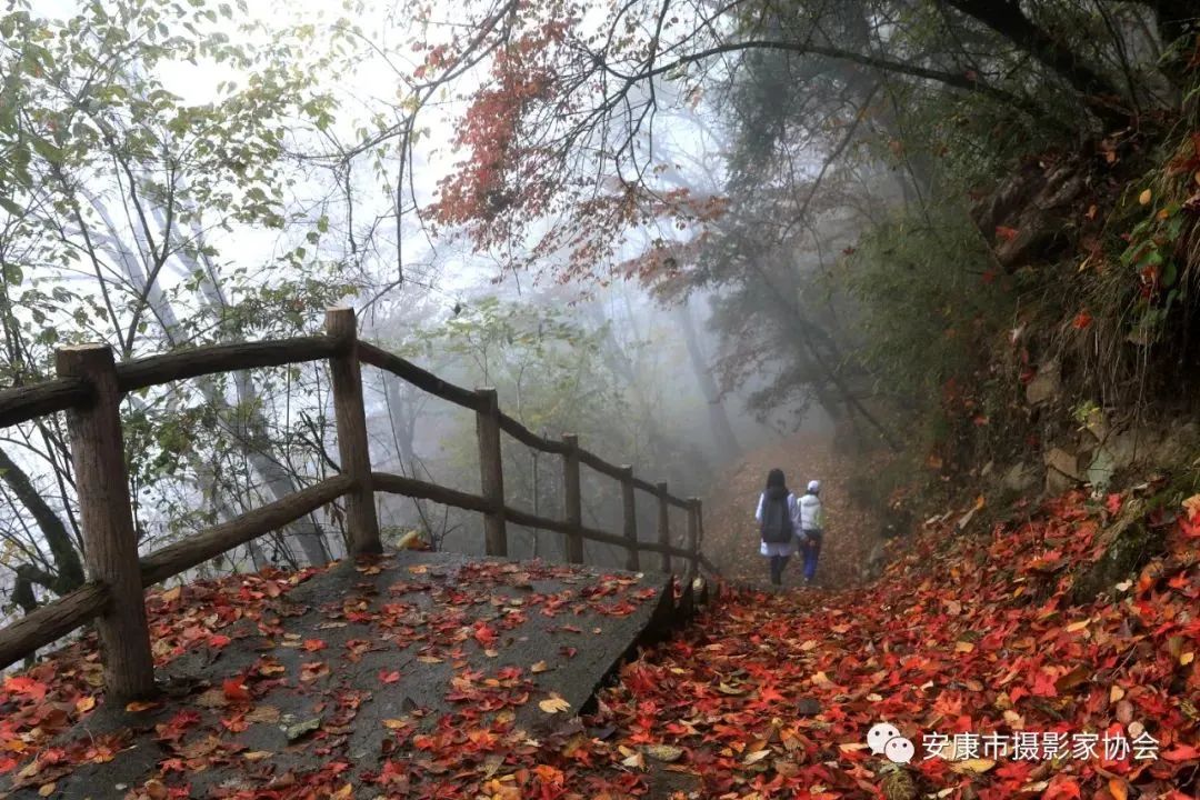 摄影大咖镜头下的岚皋,是什么样子?【959推荐】休闲区蓝鸢梦想 - Www.slyday.coM 摄影大咖镜头下的岚皋,是什么样子?【959推荐】休闲区蓝鸢梦想 - Www.slyday.coM