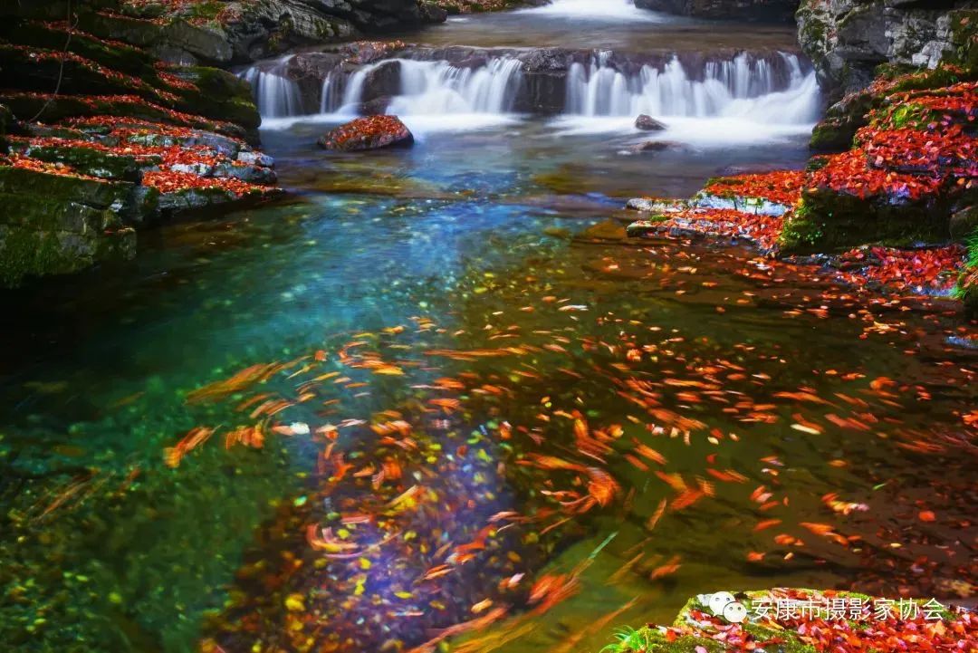 摄影大咖镜头下的岚皋,是什么样子?【959推荐】休闲区蓝鸢梦想 - Www.slyday.coM 摄影大咖镜头下的岚皋,是什么样子?【959推荐】休闲区蓝鸢梦想 - Www.slyday.coM