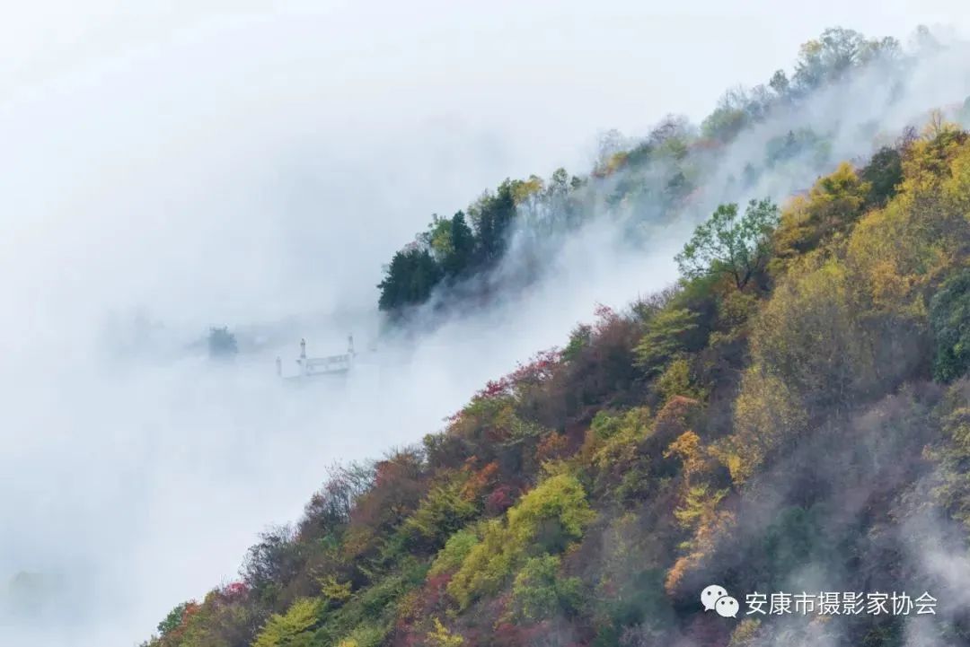 摄影大咖镜头下的岚皋,是什么样子?【959推荐】休闲区蓝鸢梦想 - Www.slyday.coM 摄影大咖镜头下的岚皋,是什么样子?【959推荐】休闲区蓝鸢梦想 - Www.slyday.coM