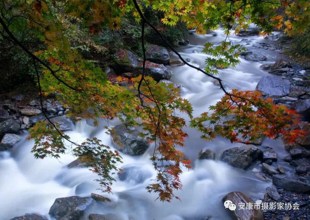 摄影大咖镜头下的岚皋,是什么样子?【959推荐】休闲区蓝鸢梦想 - Www.slyday.coM 摄影大咖镜头下的岚皋,是什么样子?【959推荐】休闲区蓝鸢梦想 - Www.slyday.coM