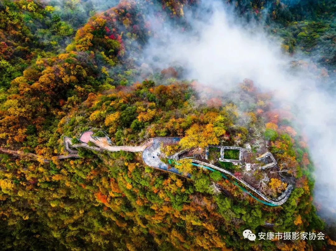 摄影大咖镜头下的岚皋,是什么样子?【959推荐】休闲区蓝鸢梦想 - Www.slyday.coM 摄影大咖镜头下的岚皋,是什么样子?【959推荐】休闲区蓝鸢梦想 - Www.slyday.coM