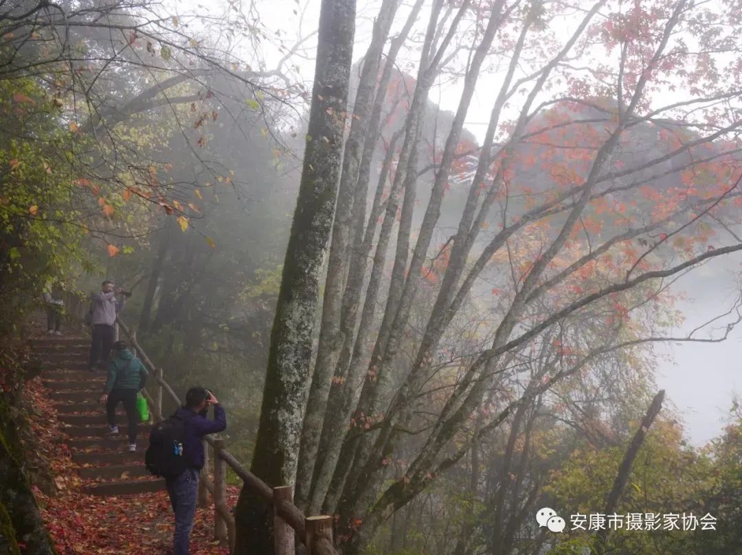 摄影大咖镜头下的岚皋,是什么样子?【959推荐】休闲区蓝鸢梦想 - Www.slyday.coM 摄影大咖镜头下的岚皋,是什么样子?【959推荐】休闲区蓝鸢梦想 - Www.slyday.coM