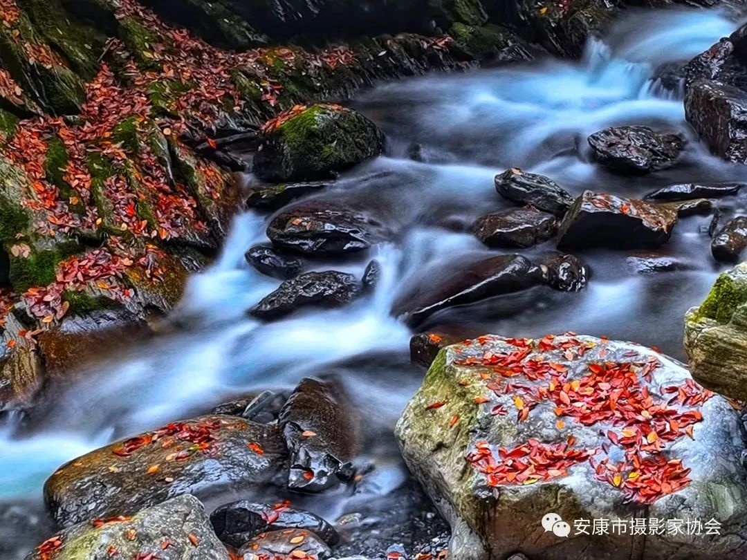 摄影大咖镜头下的岚皋,是什么样子?【959推荐】休闲区蓝鸢梦想 - Www.slyday.coM 摄影大咖镜头下的岚皋,是什么样子?【959推荐】休闲区蓝鸢梦想 - Www.slyday.coM