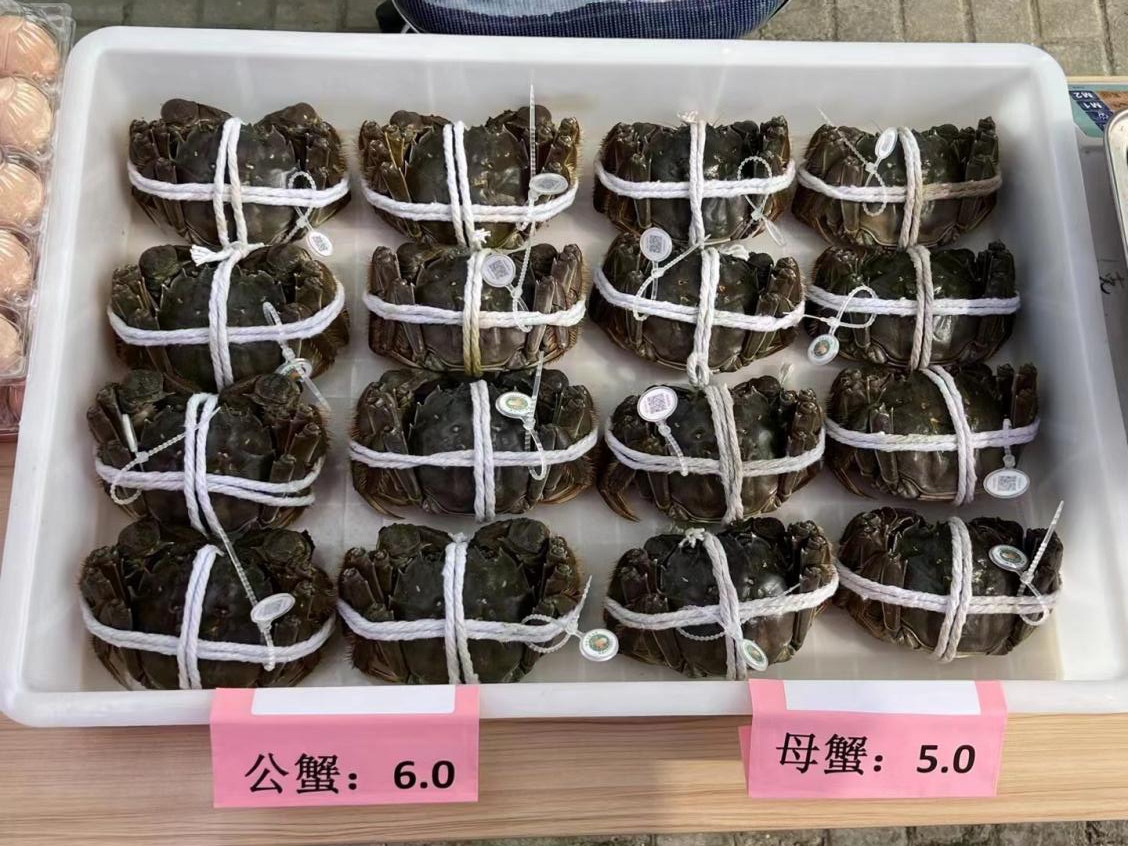 上海大闸蟹有了新品牌,金山吕巷新贵大闸蟹第一届开捕节开捕休闲区蓝鸢梦想 - Www.slyday.coM 上海大闸蟹有了新品牌,金山吕巷新贵大闸蟹第一届开捕节开捕休闲区蓝鸢梦想 - Www.slyday.coM