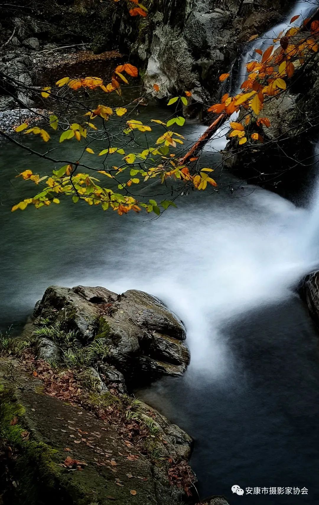 摄影大咖镜头下的岚皋,是什么样子?【959推荐】休闲区蓝鸢梦想 - Www.slyday.coM 摄影大咖镜头下的岚皋,是什么样子?【959推荐】休闲区蓝鸢梦想 - Www.slyday.coM