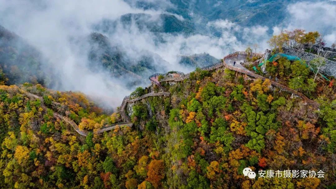 摄影大咖镜头下的岚皋,是什么样子?【959推荐】休闲区蓝鸢梦想 - Www.slyday.coM 摄影大咖镜头下的岚皋,是什么样子?【959推荐】休闲区蓝鸢梦想 - Www.slyday.coM