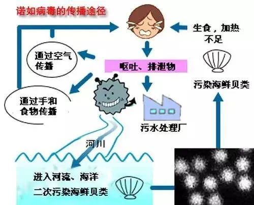 阜阳疾控发布重要提示!休闲区蓝鸢梦想 - Www.slyday.coM 阜阳疾控发布重要提示!休闲区蓝鸢梦想 - Www.slyday.coM