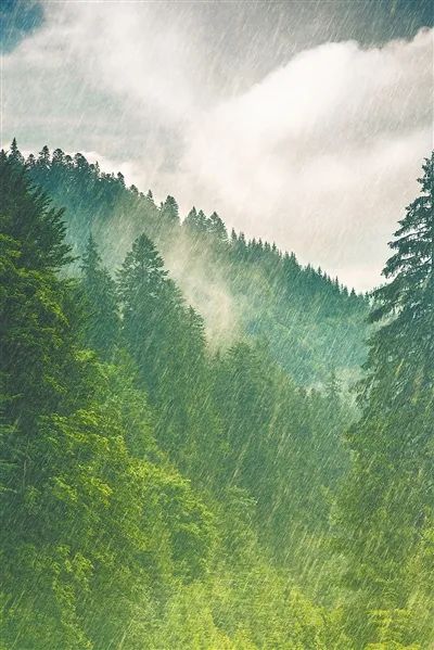 图片来源：人民视觉