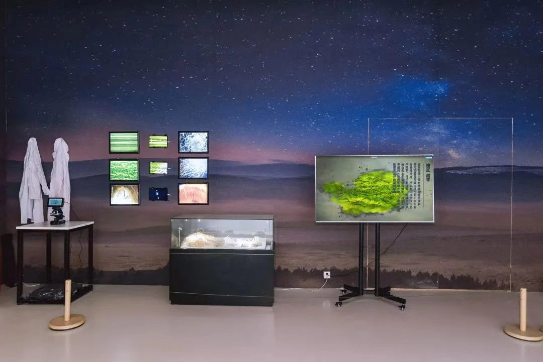 中国科大宣纸创意作品“见微知纸”被世界技能博物馆永久收藏休闲区蓝鸢梦想 - Www.slyday.coM 中国科大宣纸创意作品“见微知纸”被世界技能博物馆永久收藏休闲区蓝鸢梦想 - Www.slyday.coM