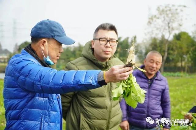 淮海路“全土”人气最火爆的柜台,上新了!休闲区蓝鸢梦想 - Www.slyday.coM 淮海路“全土”人气最火爆的柜台,上新了!休闲区蓝鸢梦想 - Www.slyday.coM