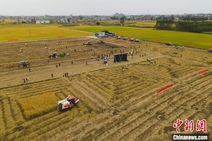 不要告诉别人(广西收割机销售地址查询)广西收割机批发市场,(图2) 不要告诉别人(广西收割机销售地址查询)广西收割机批发市场,(图2)