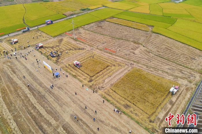 不要告诉别人(广西收割机销售地址查询)广西收割机批发市场,(图3) 不要告诉别人(广西收割机销售地址查询)广西收割机批发市场,(图3)