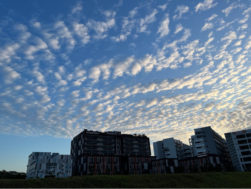 定州这个小伙儿创业五年,今年营业额破2亿人民币,他是怎么做到的?休闲区蓝鸢梦想 - Www.slyday.coM 定州这个小伙儿创业五年,今年营业额破2亿人民币,他是怎么做到的?休闲区蓝鸢梦想 - Www.slyday.coM