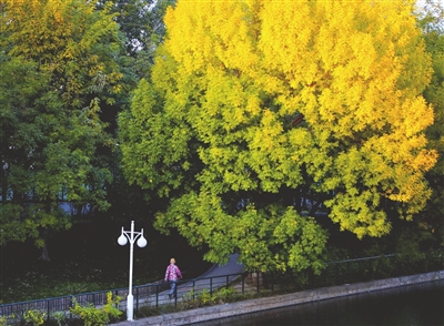 复兴河畔，城市深秋独有的浪漫和诗意。