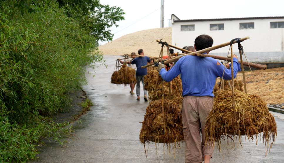 中国科大宣纸创意作品“见微知纸”被世界技能博物馆永久收藏休闲区蓝鸢梦想 - Www.slyday.coM 中国科大宣纸创意作品“见微知纸”被世界技能博物馆永久收藏休闲区蓝鸢梦想 - Www.slyday.coM