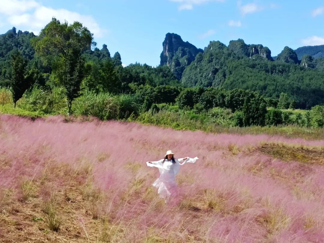张家界一年一次的粉色约会 简直少女感爆棚!休闲区蓝鸢梦想 - Www.slyday.coM 张家界一年一次的粉色约会 简直少女感爆棚!休闲区蓝鸢梦想 - Www.slyday.coM