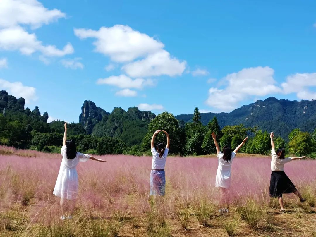张家界一年一次的粉色约会 简直少女感爆棚!休闲区蓝鸢梦想 - Www.slyday.coM 张家界一年一次的粉色约会 简直少女感爆棚!休闲区蓝鸢梦想 - Www.slyday.coM
