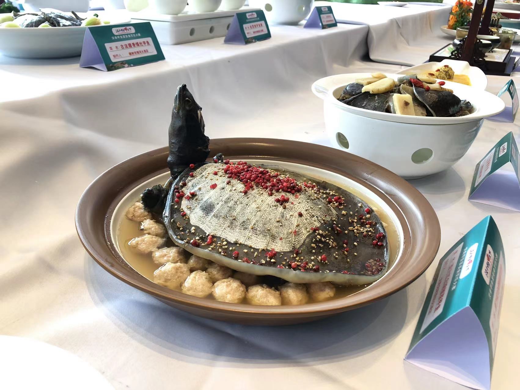 八大菜系16支名厨团队齐聚汉寿,端出128道风味甲鱼休闲区蓝鸢梦想 - Www.slyday.coM 八大菜系16支名厨团队齐聚汉寿,端出128道风味甲鱼休闲区蓝鸢梦想 - Www.slyday.coM