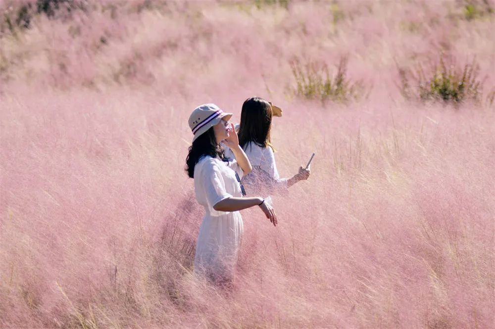 张家界一年一次的粉色约会 简直少女感爆棚!休闲区蓝鸢梦想 - Www.slyday.coM 张家界一年一次的粉色约会 简直少女感爆棚!休闲区蓝鸢梦想 - Www.slyday.coM