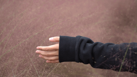 张家界一年一次的粉色约会 简直少女感爆棚!休闲区蓝鸢梦想 - Www.slyday.coM 张家界一年一次的粉色约会 简直少女感爆棚!休闲区蓝鸢梦想 - Www.slyday.coM